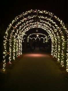 an archway covered in lights at night with people walking down the path under it and trees lining both sides