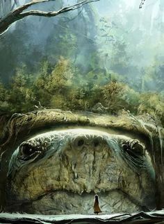 an image of a turtle looking out from under the water's surface, with trees and plants in the background