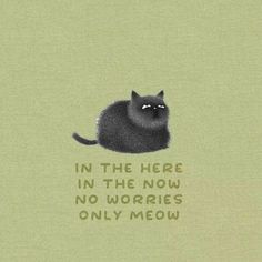 a black cat sitting on top of a green background with the words in the here in the now no worries only meow