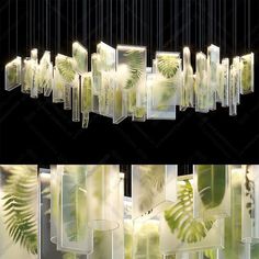 an image of some plants and lights hanging from the ceiling