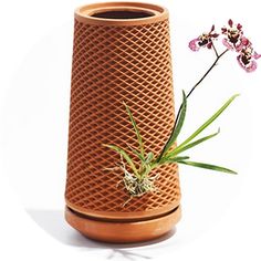 a vase with an air plant in it next to a flower pot on the ground