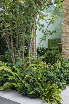 an outdoor garden with lots of plants and trees in front of a building on the sidewalk