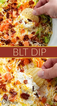 blt dip with bacon and cheese and sour cream Easy Finger Food, Blt Dip, Best Dip Recipes, Best Appetizer, Appetizers Easy Finger Food, Best Appetizer Recipes, Finger Foods Easy