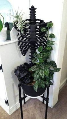 a skeleton plant stand with plants in it