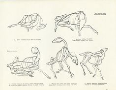 some drawings of animals that are sitting on the ground