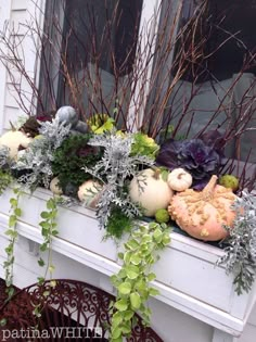 a window sill with plants and pumpkins on it