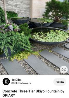 an image of a garden with plants and rocks in the middle, on instagram