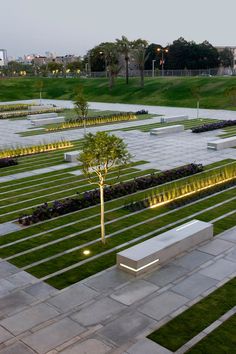 an empty park with benches and trees in the grass at night time, lit up by lights