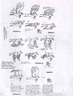 some drawings of birds flying in the air