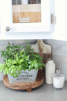 a potted plant sitting on top of a wooden stand next to a white cabinet