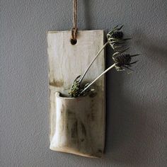 a plant in a vase hanging on a wall