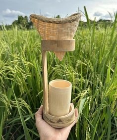 a person holding up a cup in front of some tall green grass and blue sky