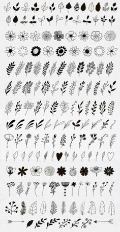 various flowers and leaves drawn in black ink on white paper, each with different designs