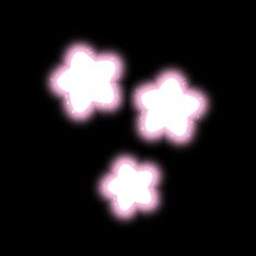 three white flowers are glowing in the dark night sky, with pink light coming from them