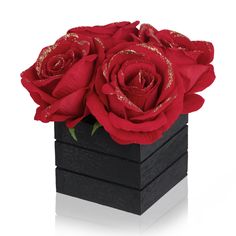 two red roses in a black box on a white background