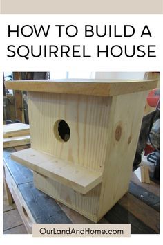 how to build a squirrel house with plans and step - by - step instructions for beginners