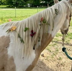 a white and brown horse with flowers on it's back