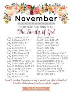 the daily calendar for november with flowers on it