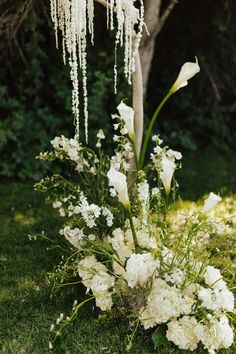 white flowers and icicles are in the grass next to a tree with long branches