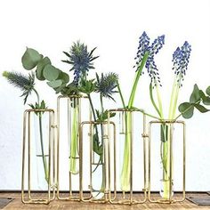 four vases with plants in them sitting on a wooden table next to each other