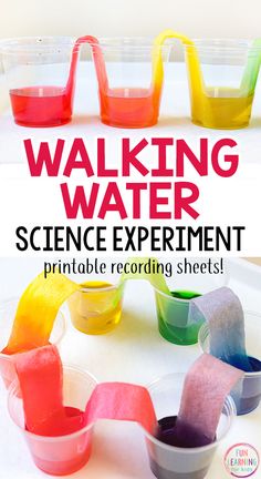 the science experiment is fun and easy for kids to do while they are on vacation