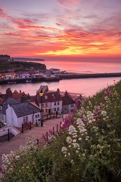 the sun is setting over some small town by the water with flowers in front of it