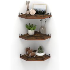 two wooden shelves with plants and pictures on them, one shelf has a potted plant