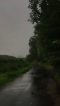 an empty road in the middle of a field with trees and grass on both sides