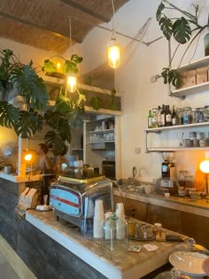 the interior of a restaurant with plants hanging from the ceiling and potted plants on the counter