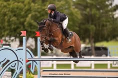 a person jumping a horse over an obstacle