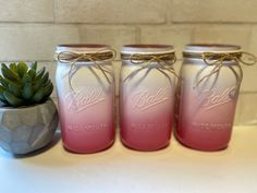 three mason jars sitting next to a succulent plant