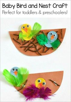 two paper plates with birds on them and some feathers in the shape of an egg