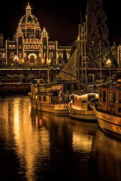 several boats are docked in the water at night