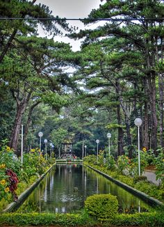 a pond surrounded by lots of trees and flowers