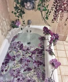 the bathtub is filled with purple flowers