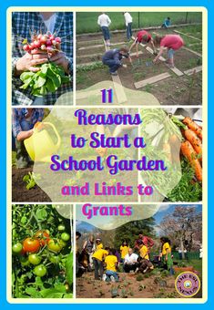 the cover of 11 reasons to start a school garden and links to grown vegetables