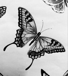 black and white drawing of butterflies flying in the sky