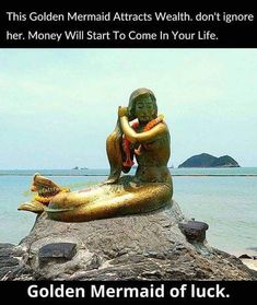 a mermaid statue sitting on top of a rock next to the ocean with caption that reads, this golden mermaid attracts wahah, don't