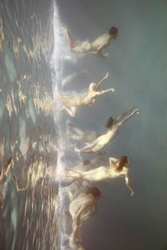 several people are swimming in the water with their backs turned to the same direction,