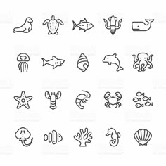 sea animals and marine life line icons