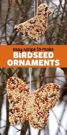 birdseed ornament hanging from a tree with the words easy recipe to make