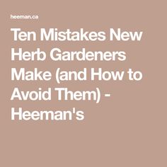 the words ten misstakes new herb gardeners make and how to avoid them