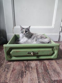 a cat sitting in a green box on the floor