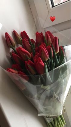 a bouquet of red tulips sitting on top of a counter next to a window