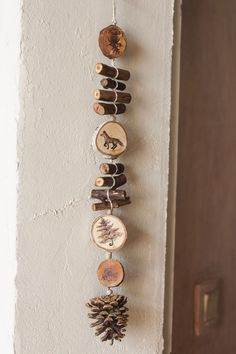 several different types of wood are hanging on the wall with pine cones and other things