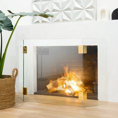 a fire place with a potted plant next to it