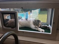 a cat laying on top of a window sill next to a green mat covered ground