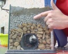 a person pointing at something in a container with rocks on the bottom and gravel around it