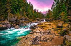 a river flowing through a lush green forest filled with rocks under a purple cloudy sky