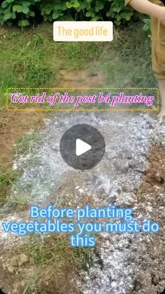 a little boy standing in front of a fire pit with the caption'get rid of the post us planning before planting vegetables you must do this